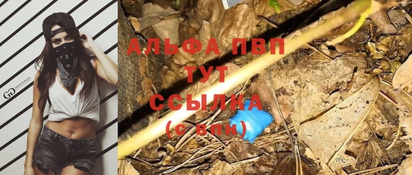 спайс Арсеньев