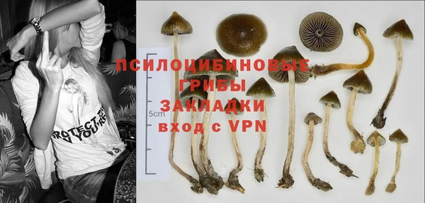 тгк Аркадак
