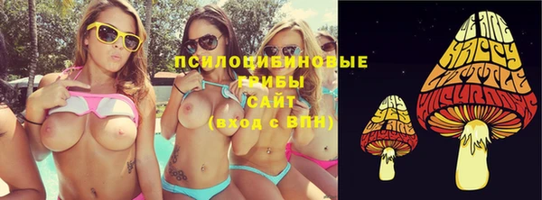 спайс Арсеньев