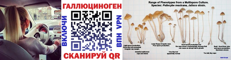 Псилоцибиновые грибы мицелий Белая Холуница