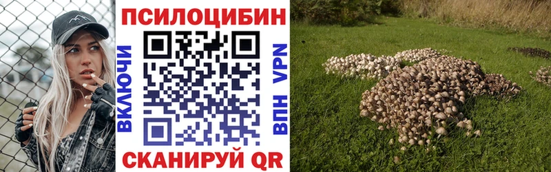 наркошоп  Белая Холуница  Галлюциногенные грибы Cubensis 